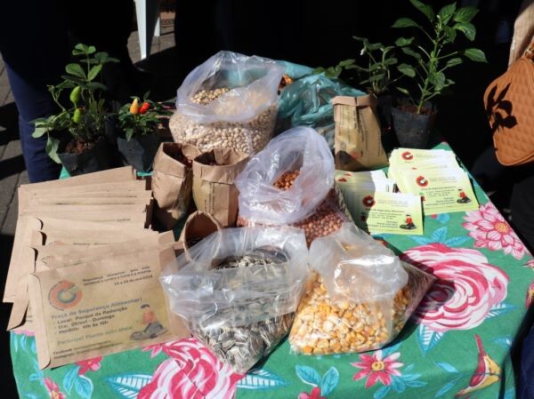 lancamento-semana-da-alimentacao-rs-2019