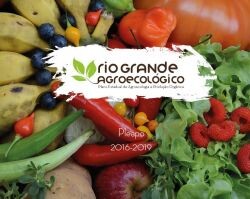 estado-do-rs-lanca-plano-de-agroecologia-e-de-producao-organica