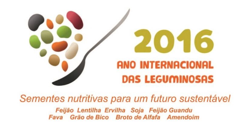 ano-internacional-das-leguminosas